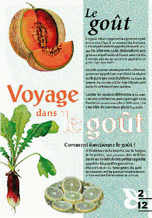 Voyage dans le gout_resize.png